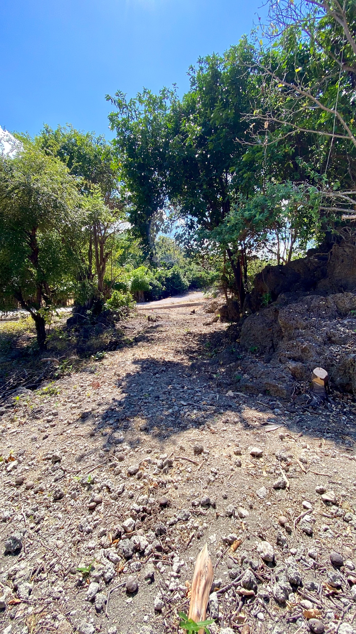 Natural access path through the property