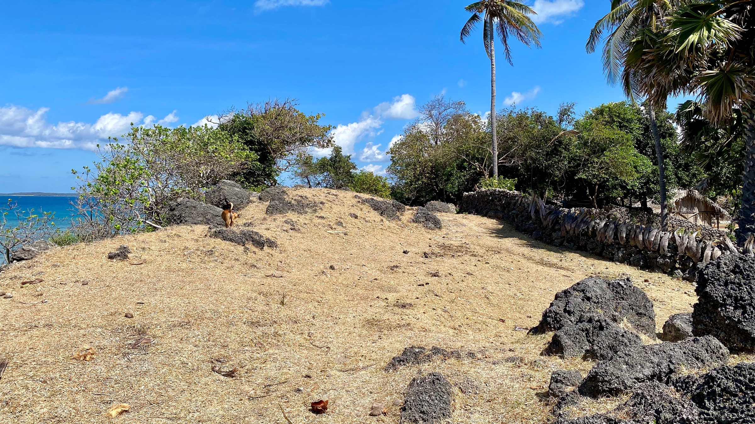 Open ground and ocean view across Rote Beachfront Land
