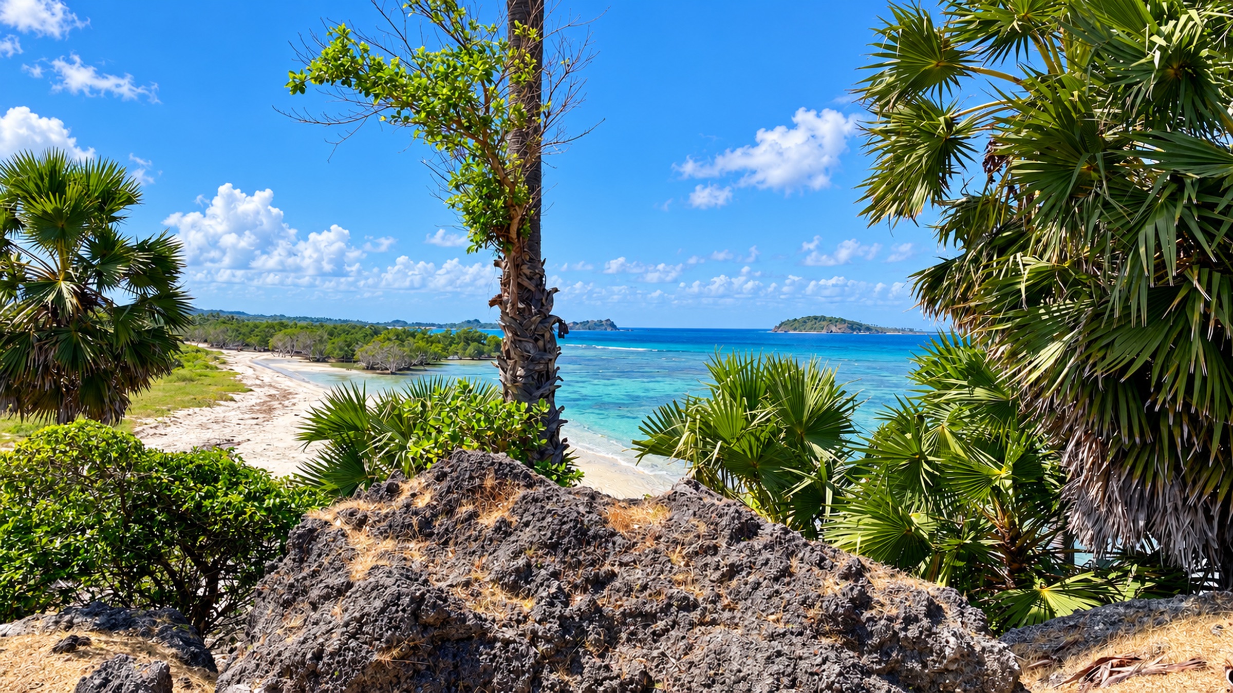 Palm-framed beach view from the property