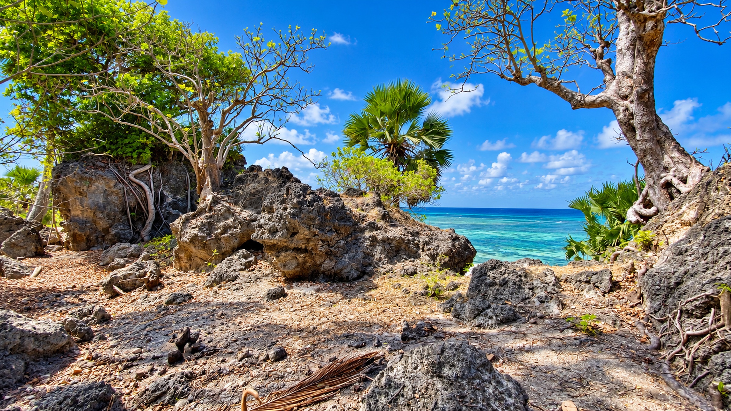 Rocky coast and open ocean beside the property