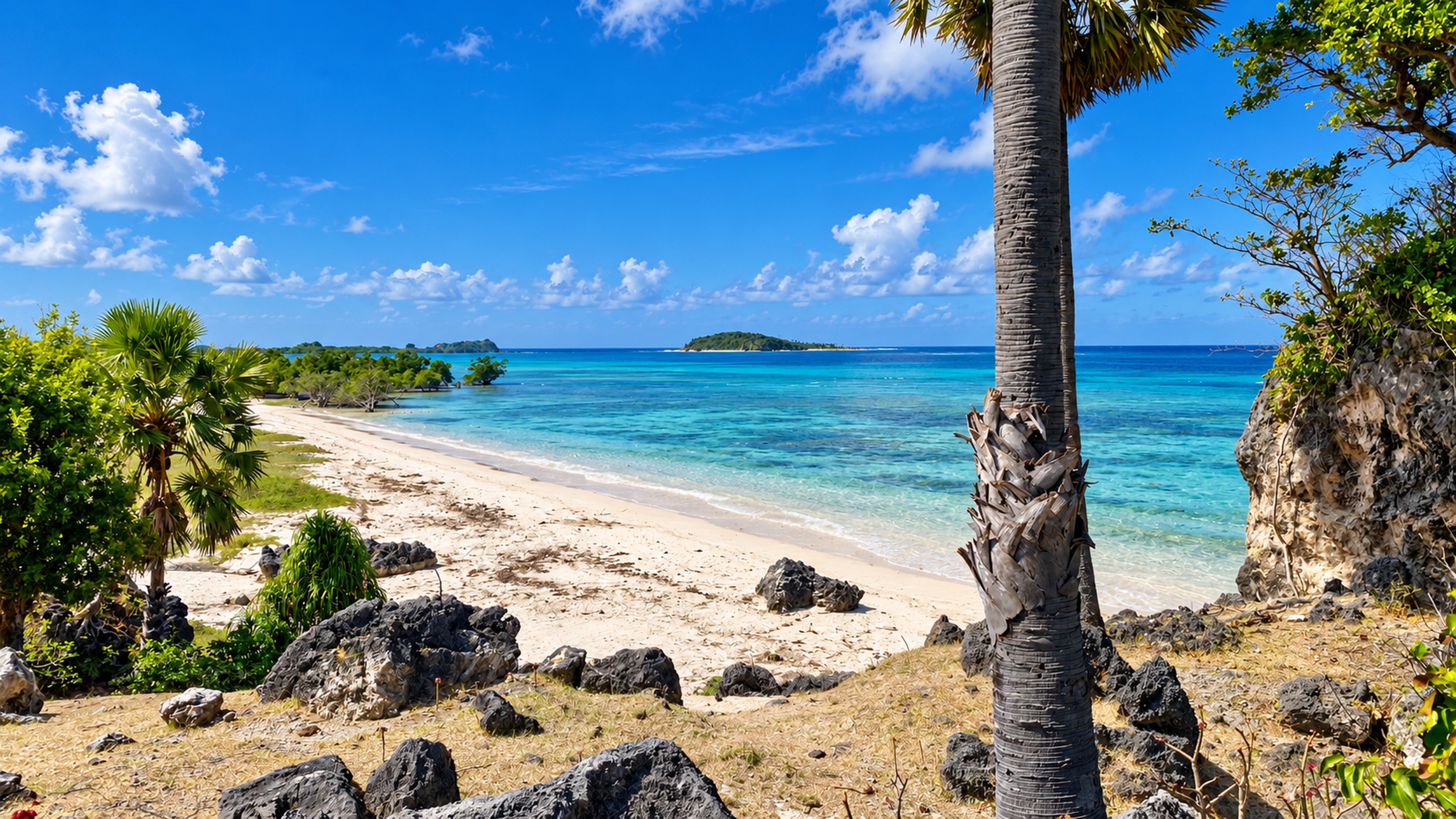 White sand beachfront and turquoise water beside the land at Pantai Sanama